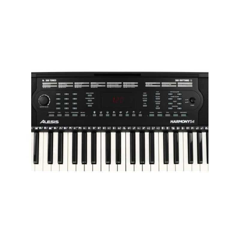 Синтезатор ALESIS HARMONY 54