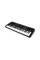 Синтезатор ALESIS HARMONY 54