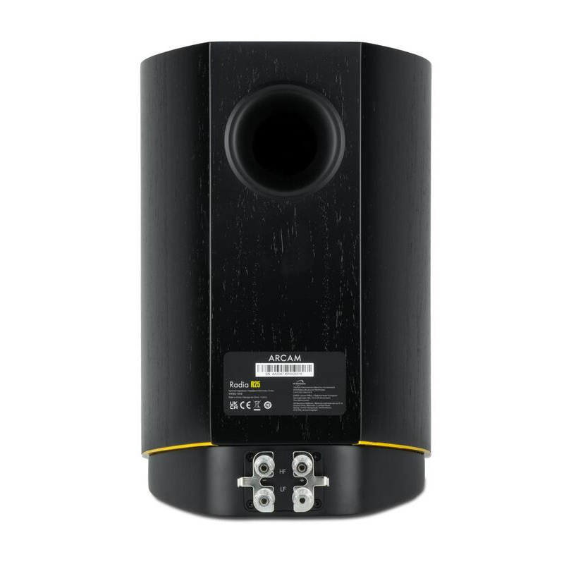 Акустическая система Arcam R25