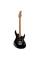 Электрогитара CORT G250 SE (Black)