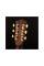 Электроакустическая гитара CORT GOLD A8 (Light Burst)