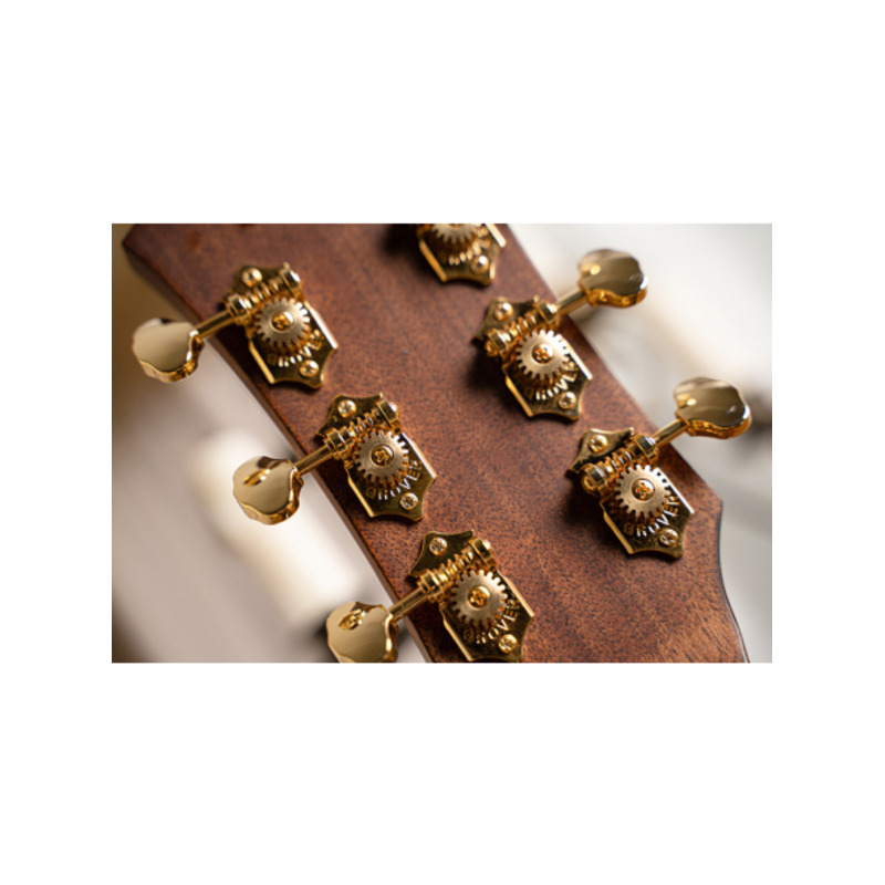 Електроакустична гітара CORT GOLD-DC6 (Natural)