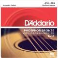 Струны для акустической гитары D'Addario EJ17 Phosphor Bronze Medium 13/56