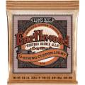 Струни для акустичної гітари Ernie Ball 2152 Earthwood Phosphor Bronze 12-String Light 10/48