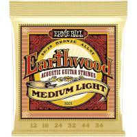Струны для акустической гитары Ernie Ball 2003 Earthwood 80/20 Bronze Medium Light 12/54