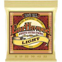 Струни для акустичної гітари Ernie Ball 2004 Earthwood 80/20 Bronze Light 11/52
