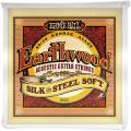 Струни для акустичної гітари Ernie Ball 2045 Earthwood 80/20 Bronze Silk Steel Soft 11/52