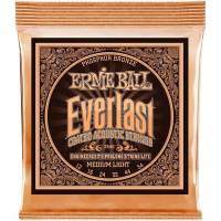 Струны для акустической гитары Ernie Ball 2546 Everlast Medium Phosphor Bronze 12/54