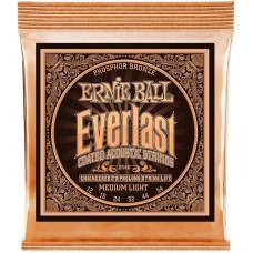 Струны для акустической гитары Ernie Ball 2546 Everlast Medium Phosphor Bronze 12/54