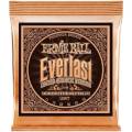 Струны для акустической гитары Ernie Ball 2548 Everlast Light Phosphor Bronze 11/52
