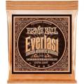 Струны для акустической гитары Ernie Ball 2550 Everlast Extra Light Phosphor Bronze 10/50
