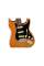 Электрогитара FENDER AMERICAN PRO II STRATOCASTER ROASTER PINE NATURAL