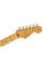 Електрогітара FENDER AMERICAN PRO II STRATOCASTER MN MIAMI BLUE