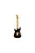 Електрогітара FENDER LIMITED EDITION AMERICAN CUSTOM SHOP STRATOCASTER DLX AGED BLACK
