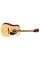 Акустическая гитара Fender FA-125 Natural WN w/Gig Bag