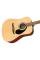 Акустическая гитара Fender FA-125 Natural WN w/Gig Bag