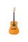 Электроакустическая гитара Fender King Vintage Aged Natural
