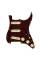 Пікгард зі звукознімачами FENDER PRE-WIRED STRAT PICKGUARD CUSTOM SHOP FAT 50'S SSS TORTOISE SHELL
