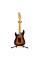 Электрогитара Fender Stratocaster American Ultra RW 2020