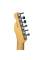 Електрогітара Fender Telecaster American Showcase Limited Edition Sky Burst 2020