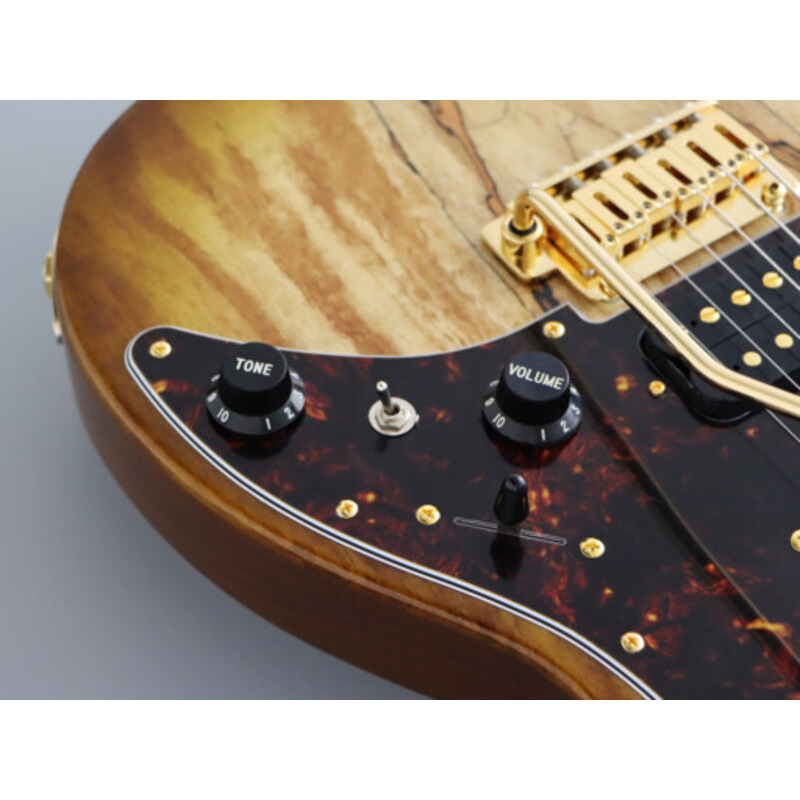 Электрогитара FGN EOS2-EW1-RM ODYSSEY EXPERT SERIES (Hojicha Burst)