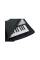 Чехол для синтезатора GATOR GKBE-76 76 Note Economy Keyboard Gig Bag