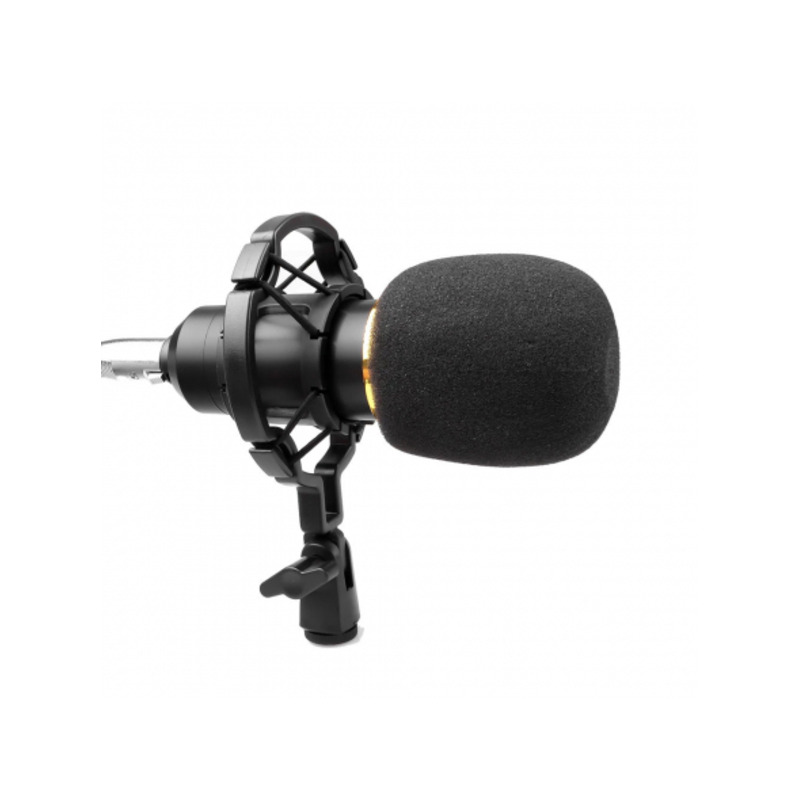 Микрофон инструментальный HL Audio BM-800