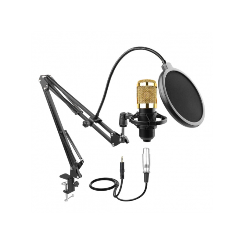 Микрофон инструментальный HL Audio BM-800