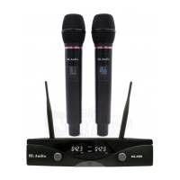 Радиосистема HL Audio DG-2000