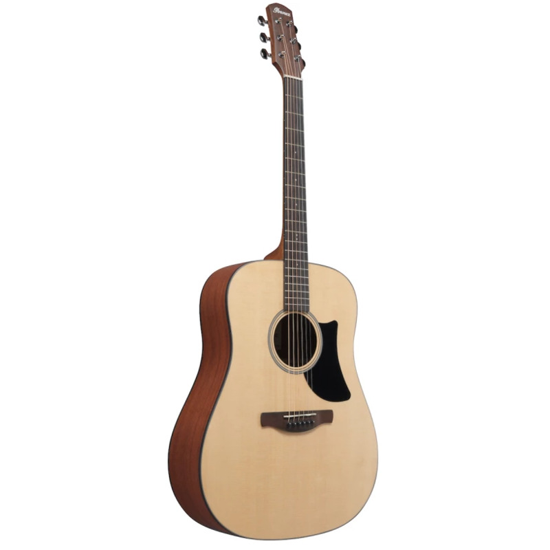 Акустична гітара Ibanez AAD50-LG
