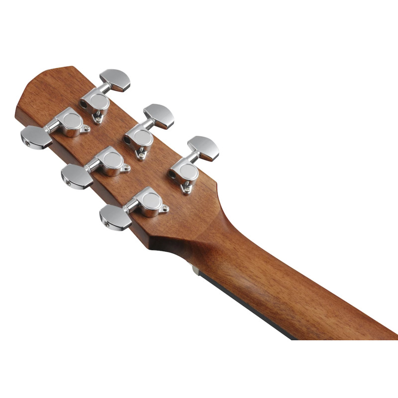 Акустична гітара Ibanez AAD50-LG