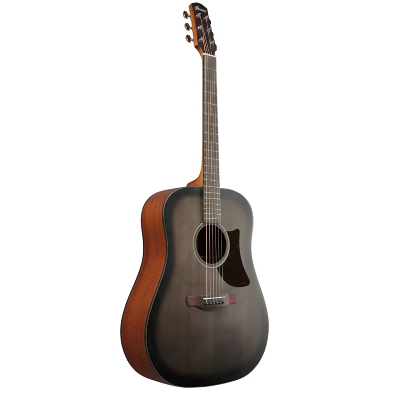 Акустична гітара Ibanez AAD50-TCB