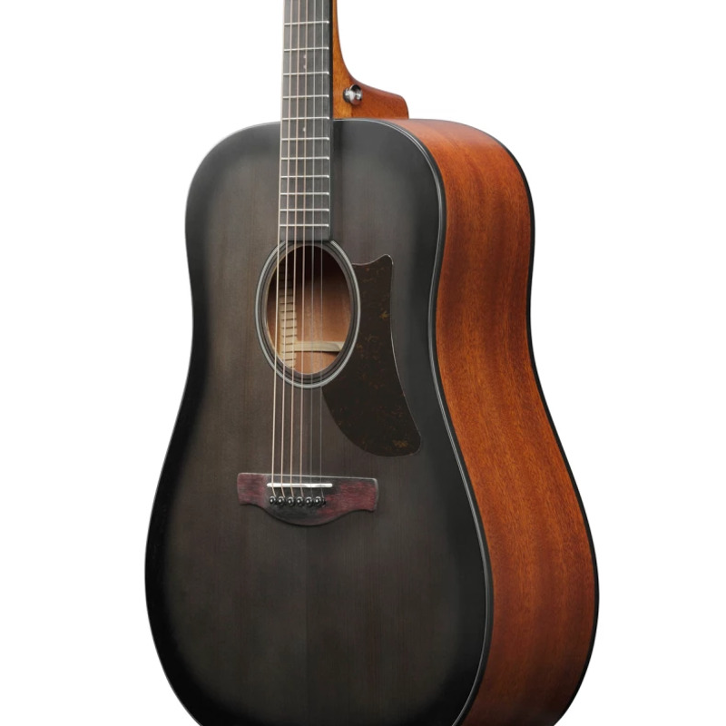 Акустична гітара Ibanez AAD50-TCB