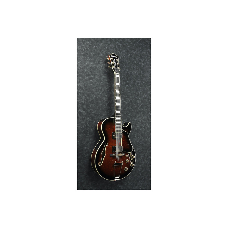 Электрогитара Гітара напівакустична IBANEZ AG95QA-DBS