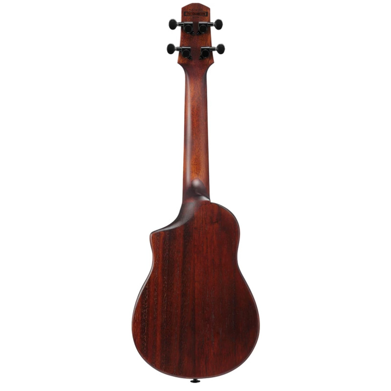 Укулеле Ibanez AUC14 OVL