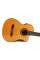 Классическая гитара Ibanez GA6CE-AM