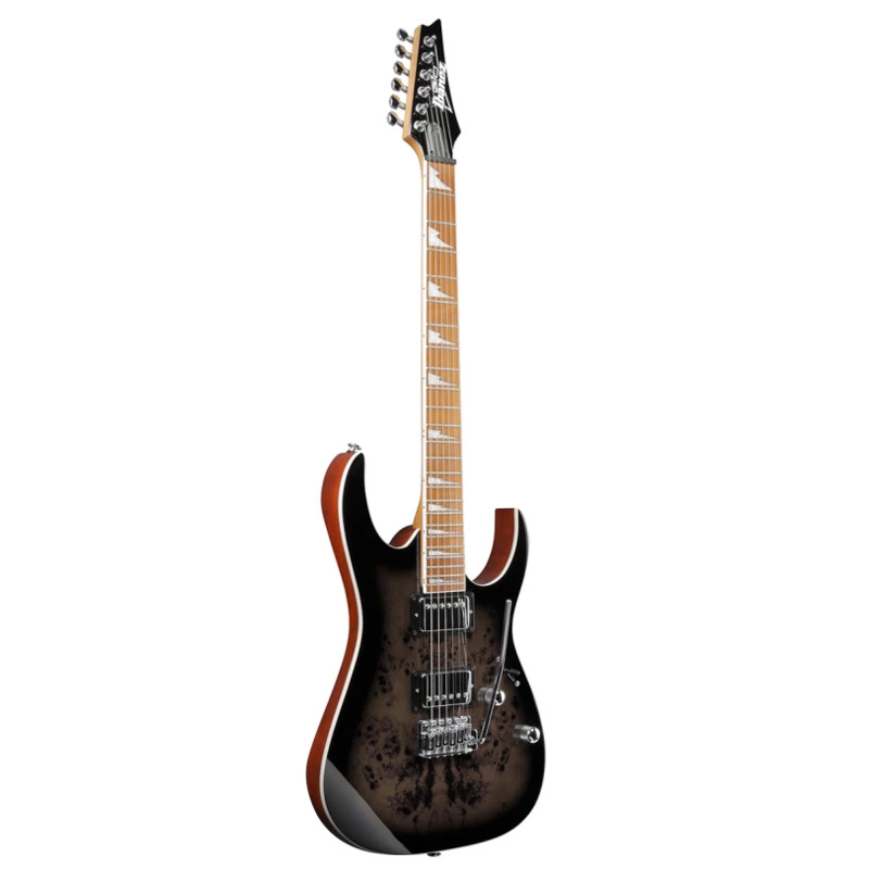 Електрогітара Ibanez GRG220PA1