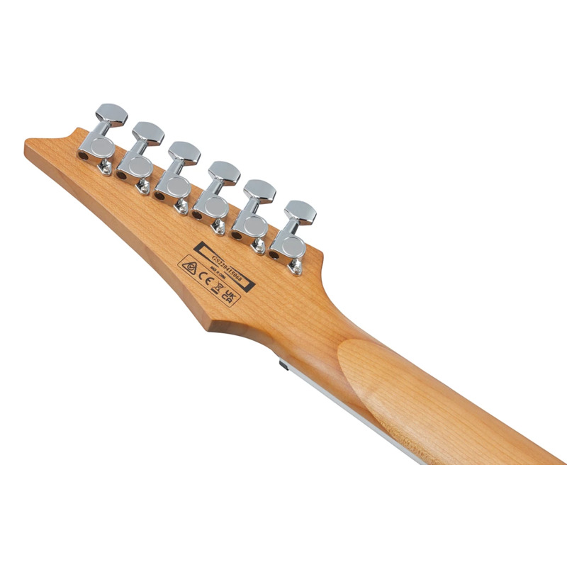 Електрогітара Ibanez GRG220PA1