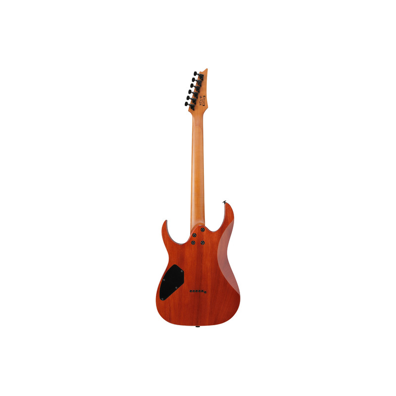 Електрогітара IBANEZ GRGR221FA-TDK