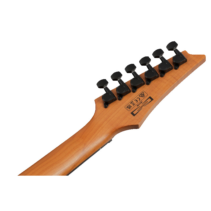 Електрогітара IBANEZ GRGR221FA-TDK