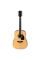 Акустическая гитара Ibanez PF15-NT