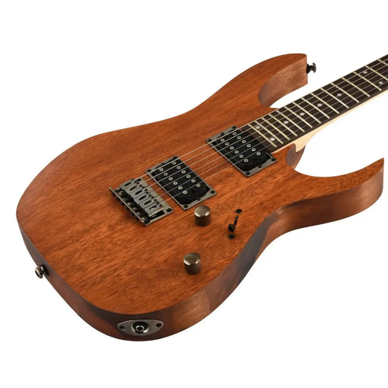 Электрогитара Ibanez RG421 MOL