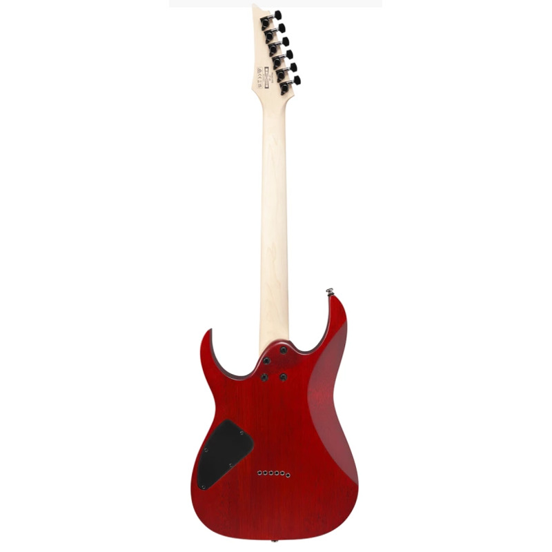 Електрогітара Ibanez RG421PB CHF