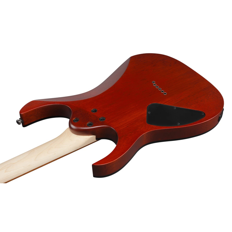 Електрогітара Ibanez RG421PB CHF