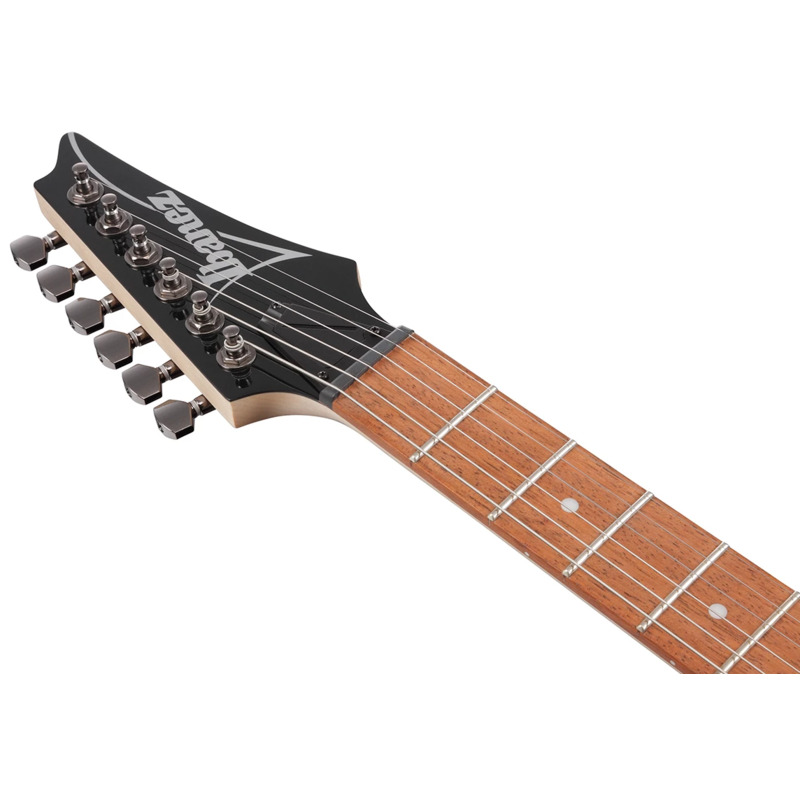 Електрогітара Ibanez RG421PB CHF