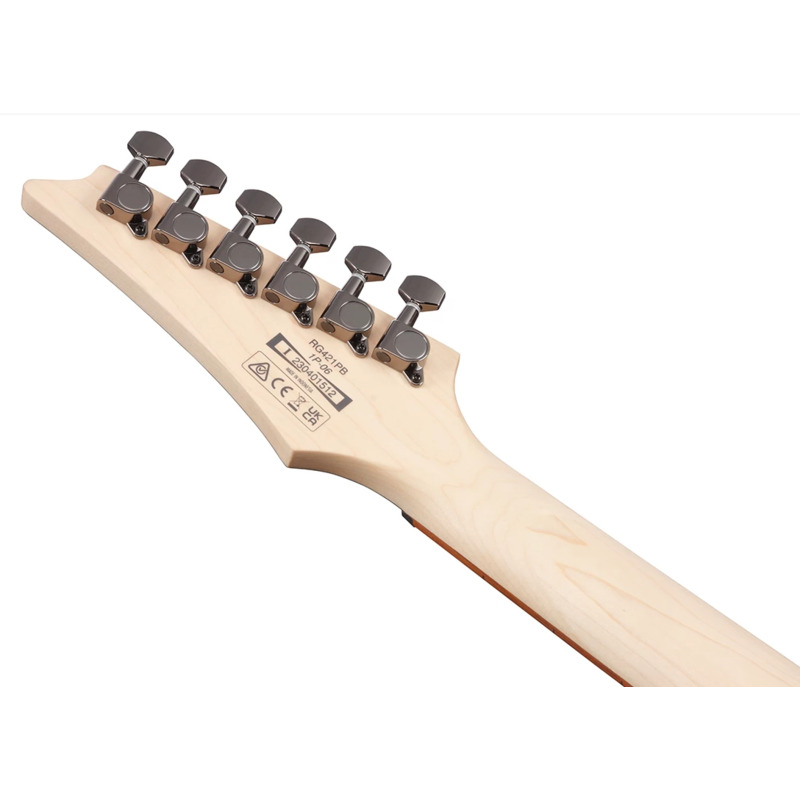 Електрогітара Ibanez RG421PB CHF