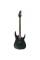Електрогітара IBANEZ RG421EX BKF