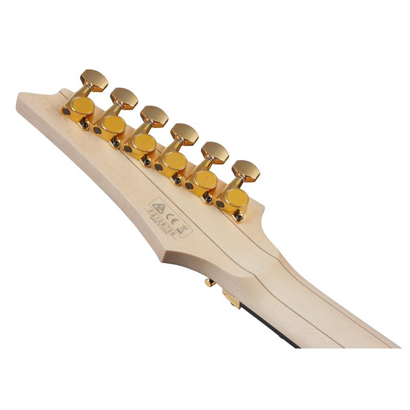 Электрогитара Ibanez RGA622XH BK