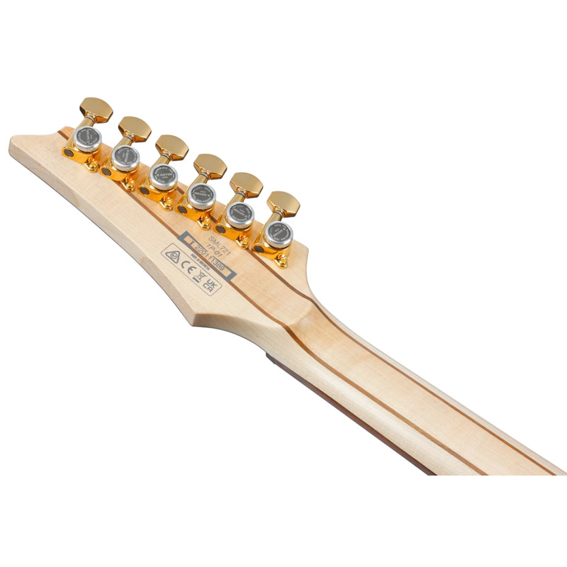 Электрогитара Ibanez SML721-RGC