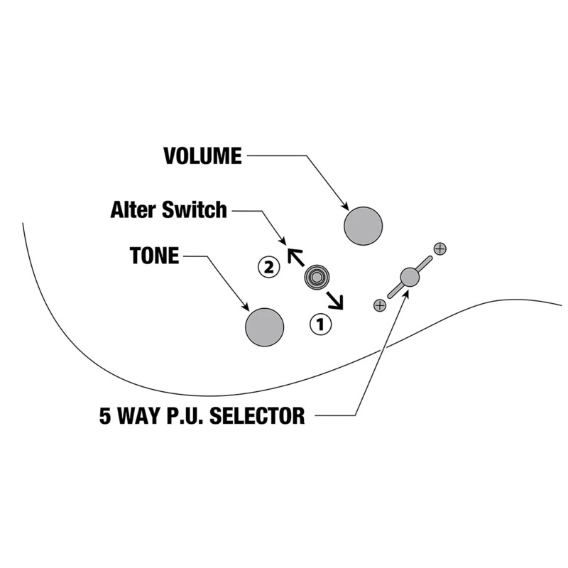 Электрогитара Ibanez SML721-RGC